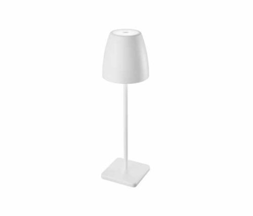 Nova Luce COLT kültéri dekorációs lámpa - NL-9121911