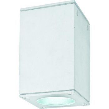 VIOKEF Οutdoor Ceiling Lamp Paros - VIO-4080100