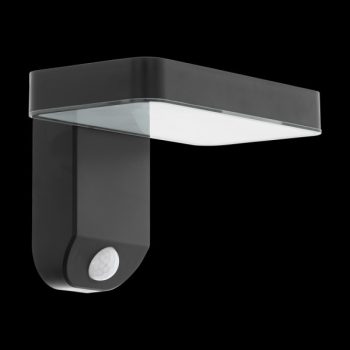 Eglo PASTION kültéri fali lámpa - 98191